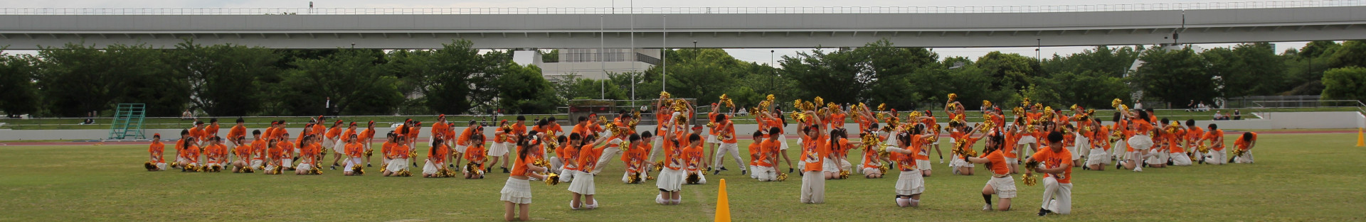 オレンジ (1).JPG